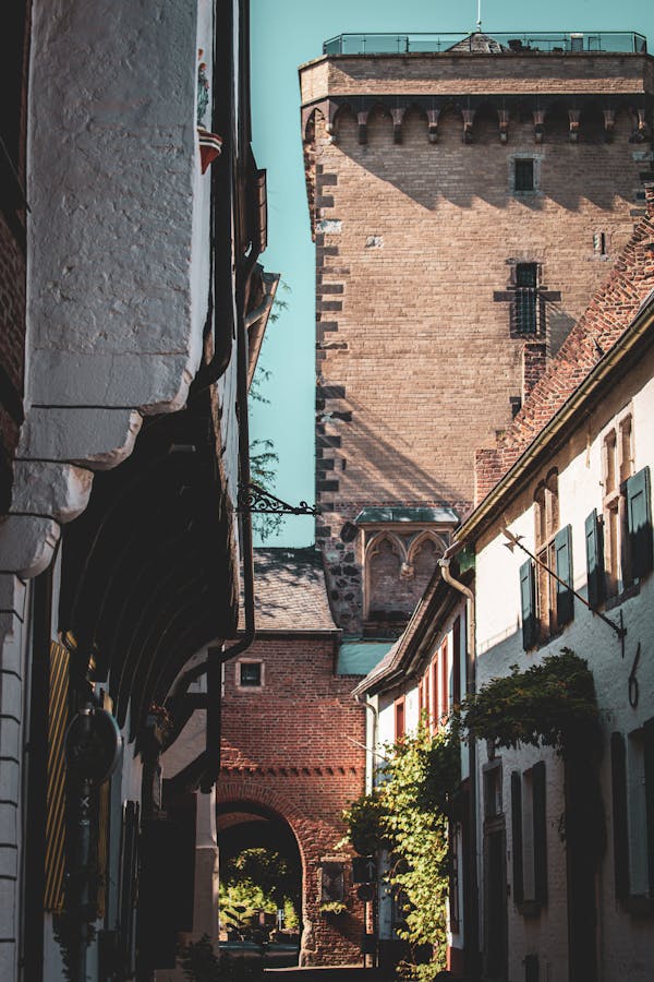 Historic German town hall building