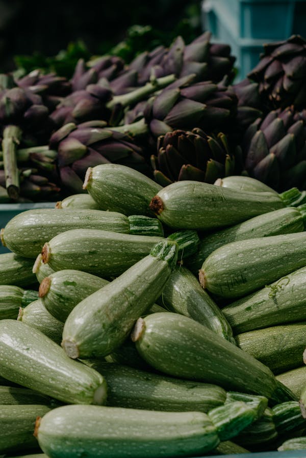 Organic vegetables bio food store